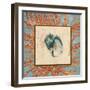 Coral Medley Shell II-Lanie Loreth-Framed Art Print