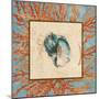 Coral Medley Shell II-Lanie Loreth-Mounted Art Print