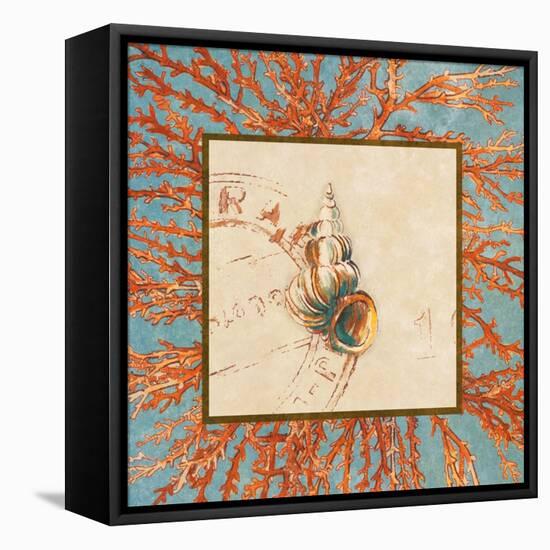 Coral Medley Shell III-Lanie Loreth-Framed Stretched Canvas