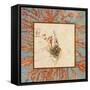 Coral Medley Shell III-Lanie Loreth-Framed Stretched Canvas