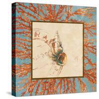Coral Medley Shell III-Lanie Loreth-Stretched Canvas
