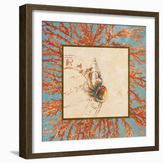 Coral Medley Shell III-Lanie Loreth-Framed Art Print