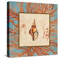 Coral Medley Shell IV-Lanie Loreth-Stretched Canvas