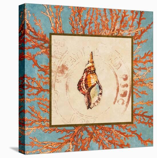 Coral Medley Shell IV-Lanie Loreth-Stretched Canvas