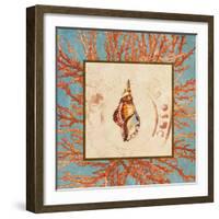 Coral Medley Shell IV-Lanie Loreth-Framed Art Print