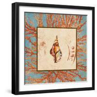 Coral Medley Shell IV-Lanie Loreth-Framed Art Print