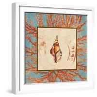 Coral Medley Shell IV-Lanie Loreth-Framed Art Print