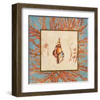 Coral Medley Shell IV-Lanie Loreth-Framed Art Print