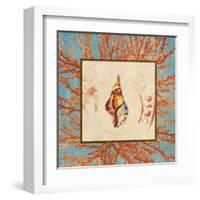 Coral Medley Shell IV-Lanie Loreth-Framed Art Print