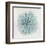 Coral Mint I-Caroline Kelly-Framed Art Print