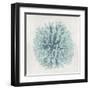 Coral Mint I-Caroline Kelly-Framed Art Print