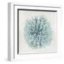 Coral Mint I-Caroline Kelly-Framed Art Print