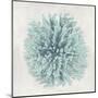 Coral Mint I-Caroline Kelly-Mounted Art Print