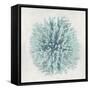 Coral Mint I-Caroline Kelly-Framed Stretched Canvas