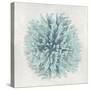 Coral Mint I-Caroline Kelly-Stretched Canvas