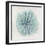 Coral Mint I-Caroline Kelly-Framed Art Print