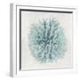 Coral Mint I-Caroline Kelly-Framed Art Print