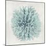 Coral Mint I-Caroline Kelly-Mounted Art Print