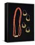 Coral Necklace and Gold Earrings from Liguria Region-null-Framed Stretched Canvas