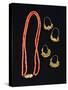Coral Necklace and Gold Earrings from Liguria Region-null-Stretched Canvas