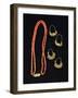Coral Necklace and Gold Earrings from Liguria Region-null-Framed Giclee Print