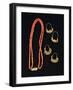 Coral Necklace and Gold Earrings from Liguria Region-null-Framed Giclee Print