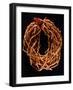 Coral Necklace, Maometti or Mohammed Coral, Morocco-null-Framed Giclee Print