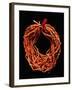 Coral Necklace, Maometti or Mohammed Coral, Morocco-null-Framed Giclee Print