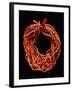 Coral Necklace, Maometti or Mohammed Coral, Morocco-null-Framed Giclee Print