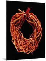 Coral Necklace, Maometti or Mohammed Coral, Morocco-null-Mounted Giclee Print