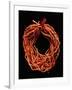 Coral Necklace, Maometti or Mohammed Coral, Morocco-null-Framed Giclee Print