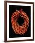 Coral Necklace, Maometti or Mohammed Coral, Morocco-null-Framed Giclee Print