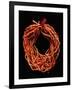 Coral Necklace, Maometti or Mohammed Coral, Morocco-null-Framed Giclee Print