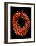 Coral Necklace, Maometti or Mohammed Coral, Morocco-null-Framed Giclee Print