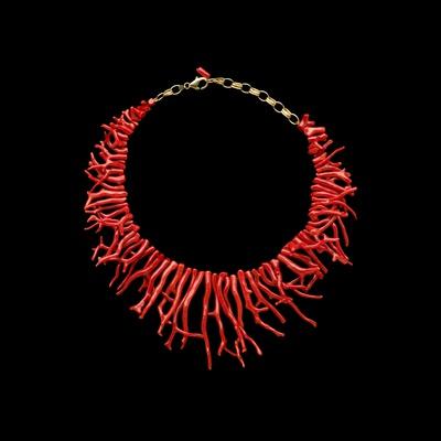 https://imgc.allpostersimages.com/img/posters/coral-necklace-with-natural-branches-of-coral_u-L-PZMIZU0.jpg?artPerspective=n