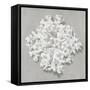 Coral on Gray II-Caroline Kelly-Framed Stretched Canvas