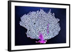 Coral on Navy I-Jairo Rodriguez-Framed Photographic Print