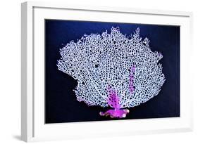 Coral on Navy I-Jairo Rodriguez-Framed Photographic Print