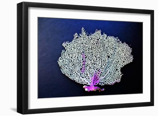 Coral on Navy II-Jairo Rodriguez-Framed Art Print