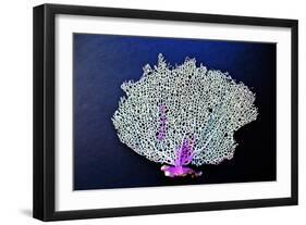 Coral on Navy II-Jairo Rodriguez-Framed Art Print