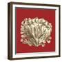 Coral on Red III-Vision Studio-Framed Art Print