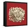 Coral on Red III-Vision Studio-Framed Stretched Canvas