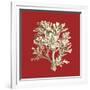 Coral on Red IV-Vision Studio-Framed Art Print