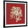 Coral on Red IV-Vision Studio-Framed Art Print