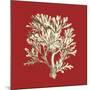 Coral on Red IV-Vision Studio-Mounted Art Print