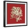 Coral on Red IV-Vision Studio-Framed Art Print