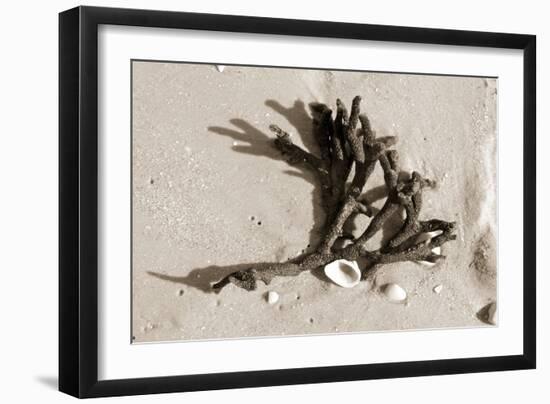 Coral on Sand-Jairo Rodriguez-Framed Photographic Print