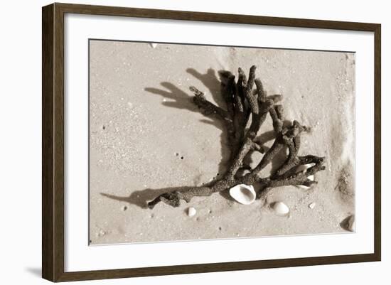 Coral on Sand-Jairo Rodriguez-Framed Photographic Print