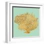 Coral on Teal I-Jairo Rodriguez-Framed Art Print