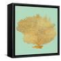 Coral on Teal I-Jairo Rodriguez-Framed Stretched Canvas